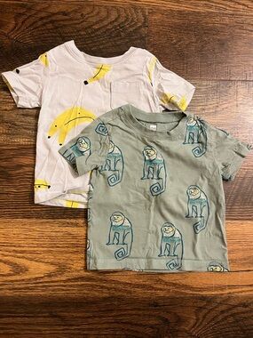 Tea Collection Lot of 2 Toddler Tees